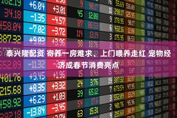 泰兴隆配资 寄养一房难求、上门喂养走红 宠物经济成春节消费亮点