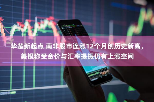 华楚新起点 南非股市连涨12个月创历史新高，美银称受金价与汇率提振仍有上涨空间