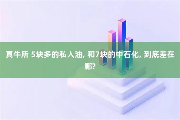 真牛所 5块多的私人油, 和7块的中石化, 到底差在哪?