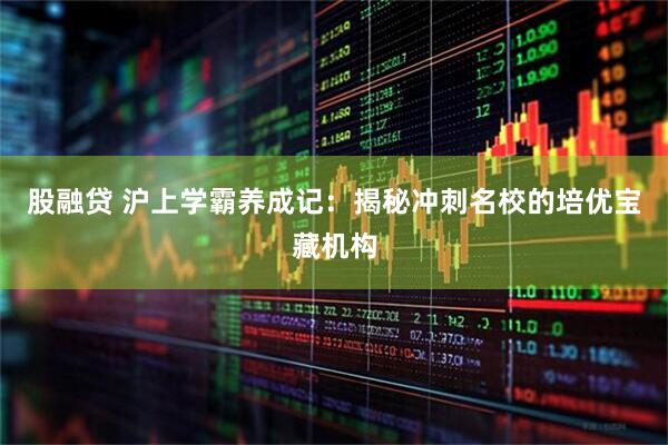 股融贷 沪上学霸养成记：揭秘冲刺名校的培优宝藏机构