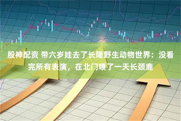 股神配资 带六岁娃去了长隆野生动物世界：没看完所有表演，在北门喂了一天长颈鹿