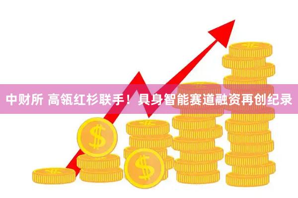 中财所 高瓴红杉联手！具身智能赛道融资再创纪录