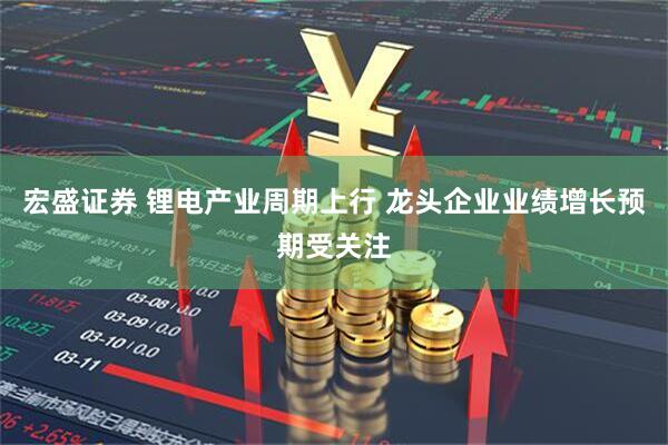 宏盛证券 锂电产业周期上行 龙头企业业绩增长预期受关注